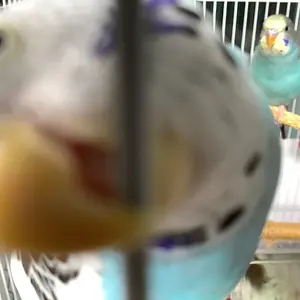 Bubbles is a very gud role model-