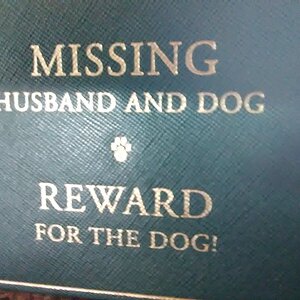 Missing Husband and Dog.jpg