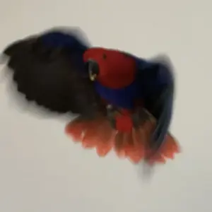 Flying