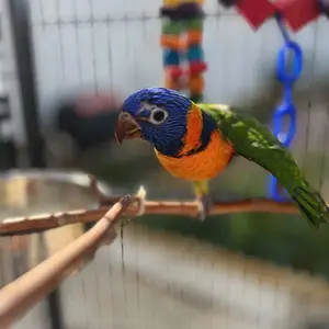 Stretches