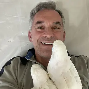 Media 'D03E456A-0319-41AA-ABAE-FC02A994C040.webp' in category 'Cockatoos'