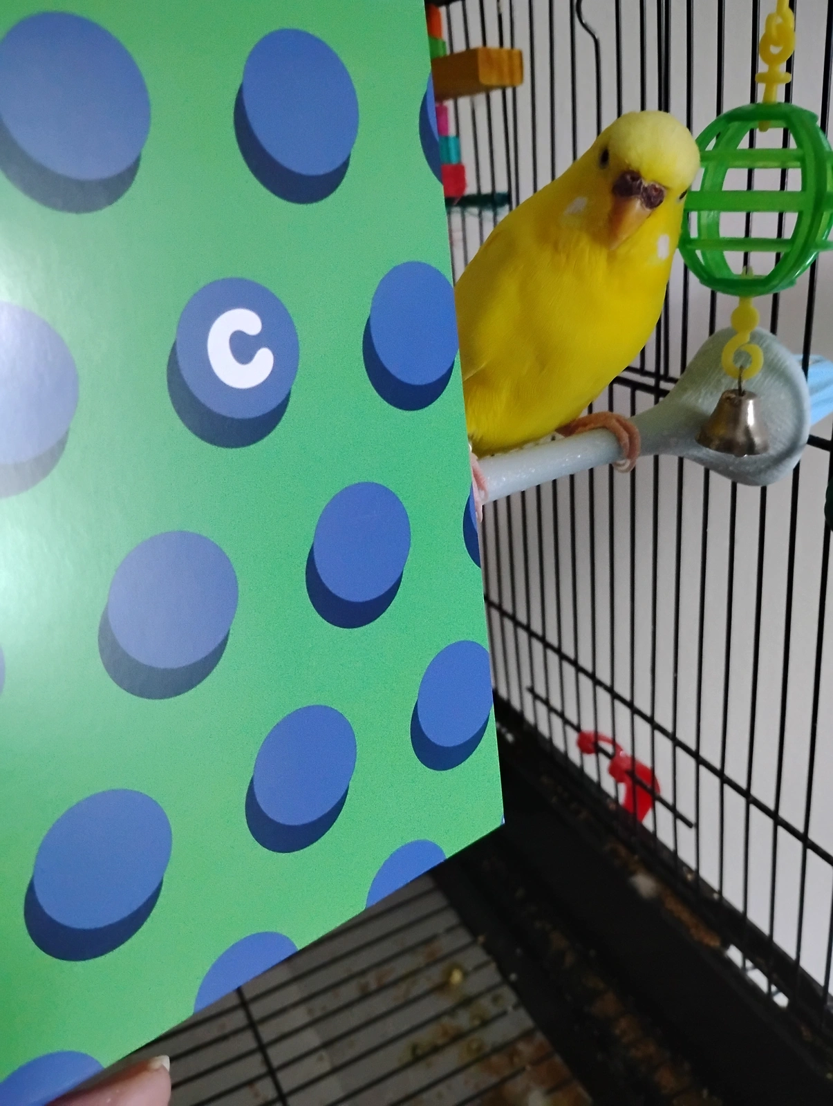 1000016509.webp