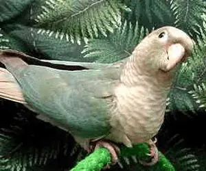 1644181259500.webp