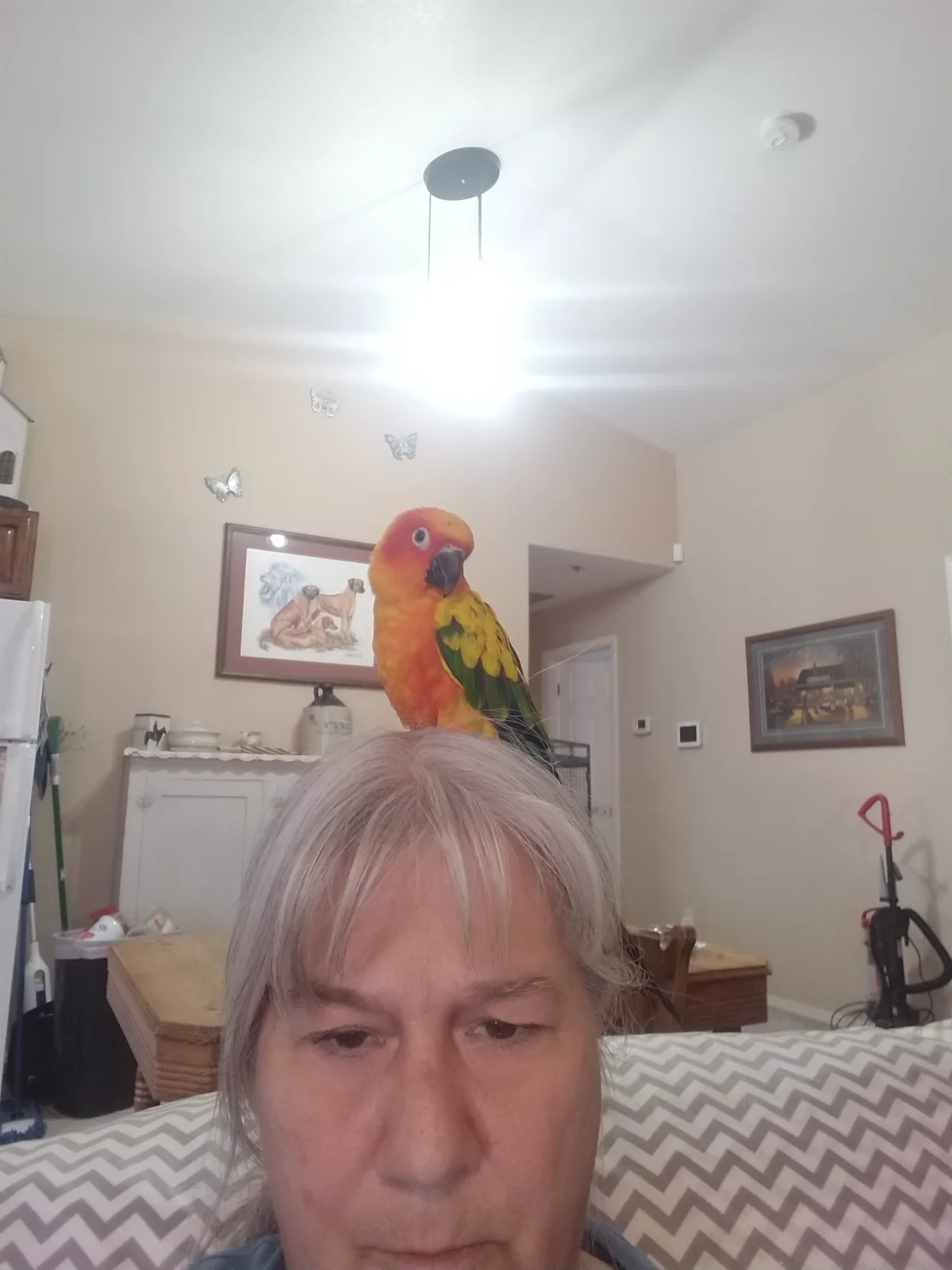 17487392583688167856895109364679.webp