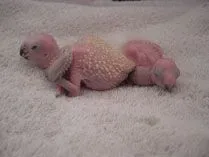 2008 04-13 Jack and B#8E408.webp