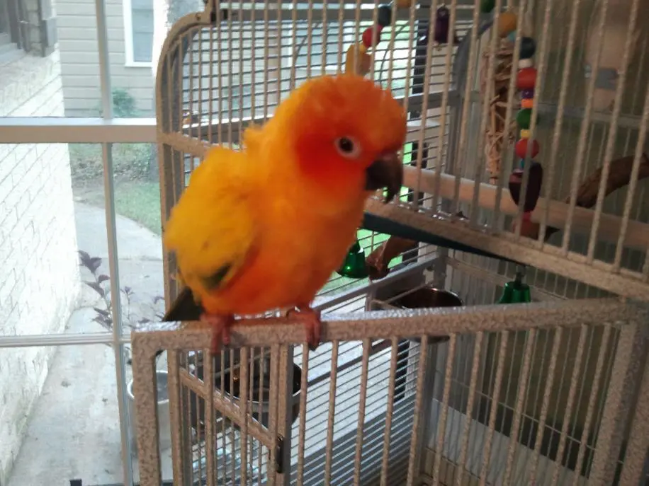 2012-07-02 18.45.23.webp