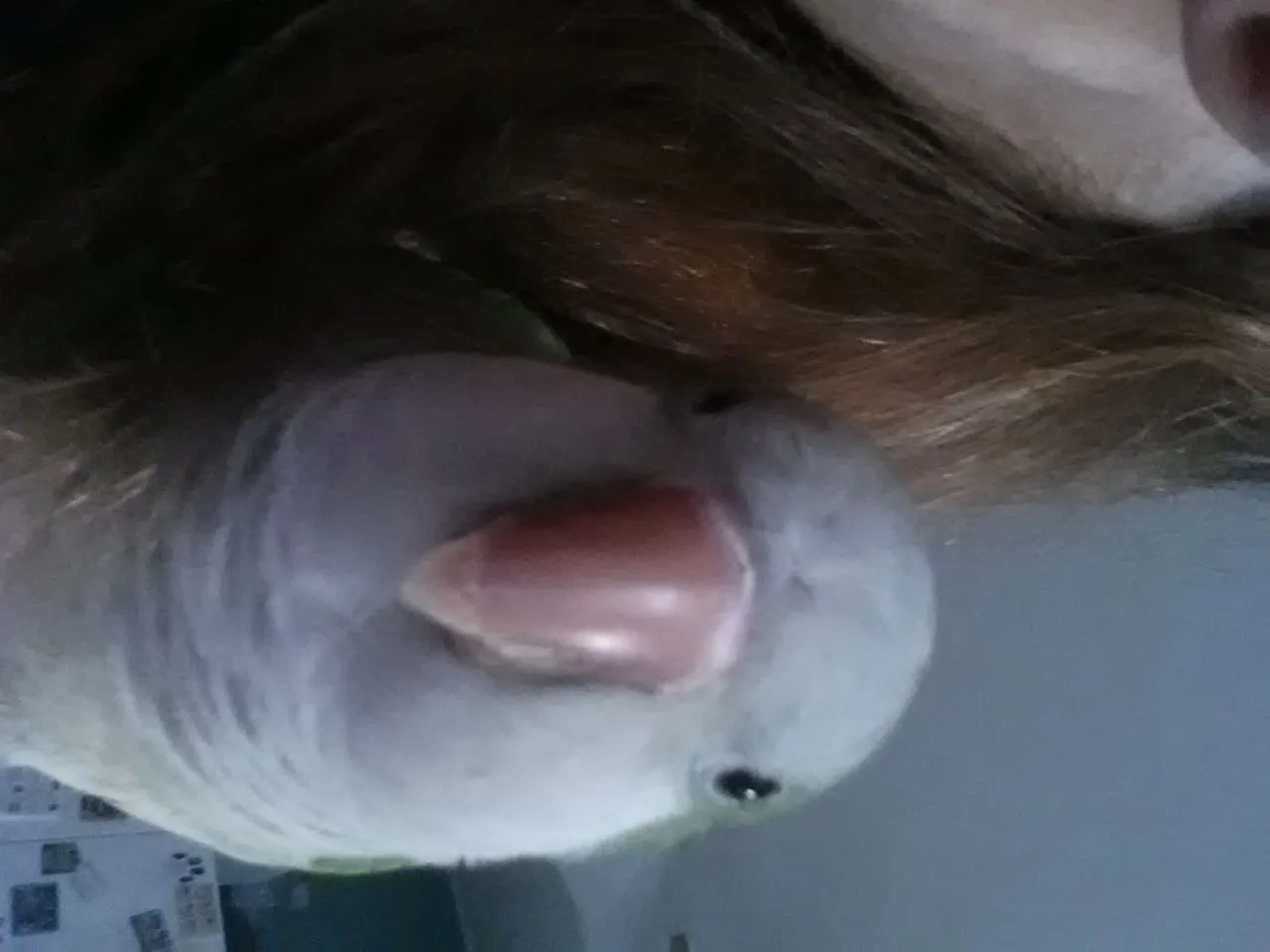 20130724_201700.jpg