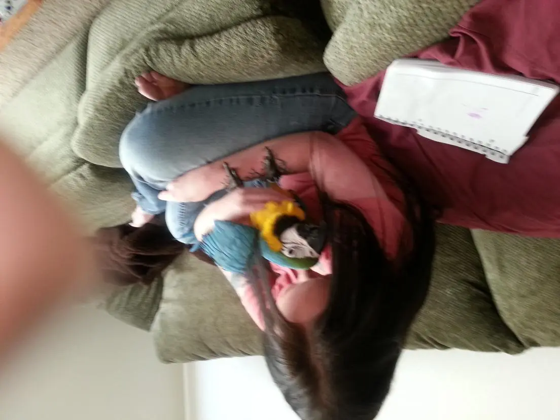 20130728_190228.webp