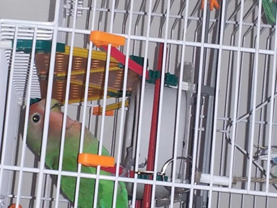 20131202_185605.webp