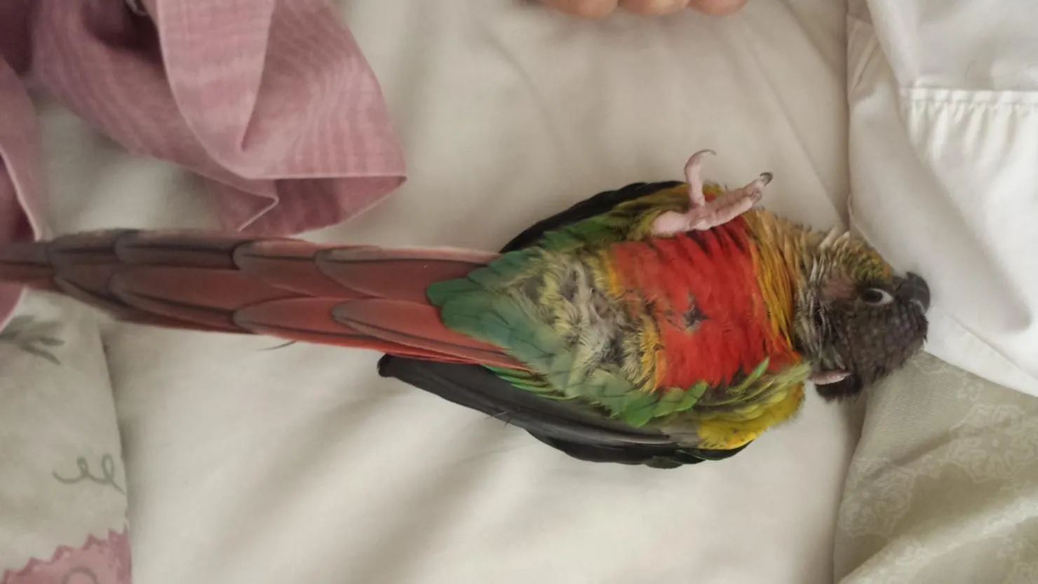 2014-05-26 08.48.30.webp