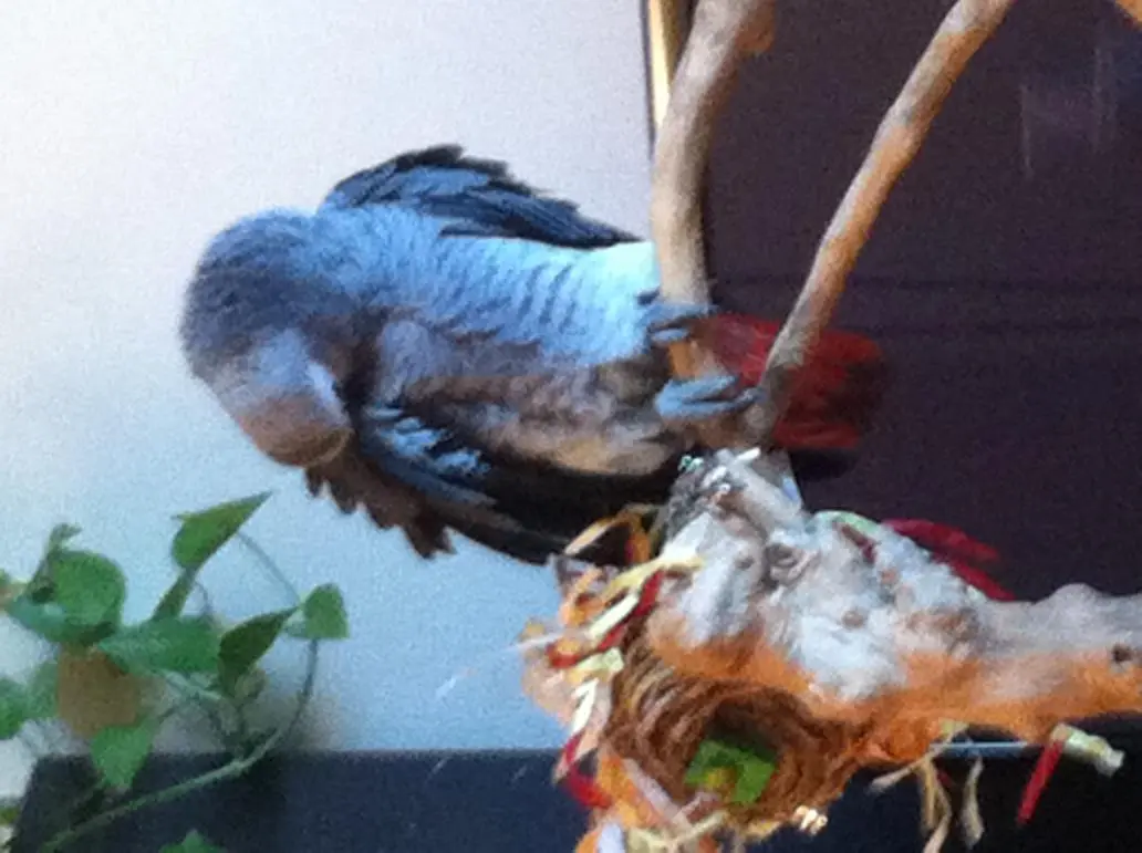 2014-11-21 15.17.06.webp