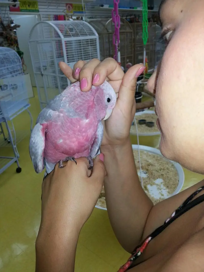 20140628_134847_resized_1.webp