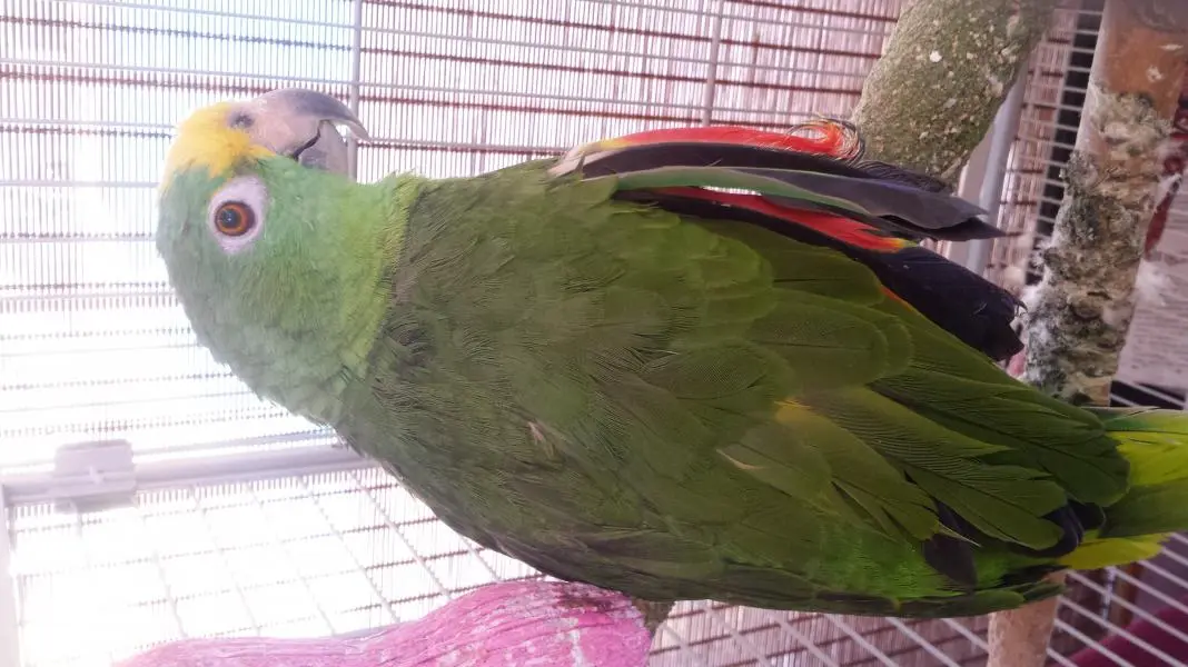 20150606_121949.webp