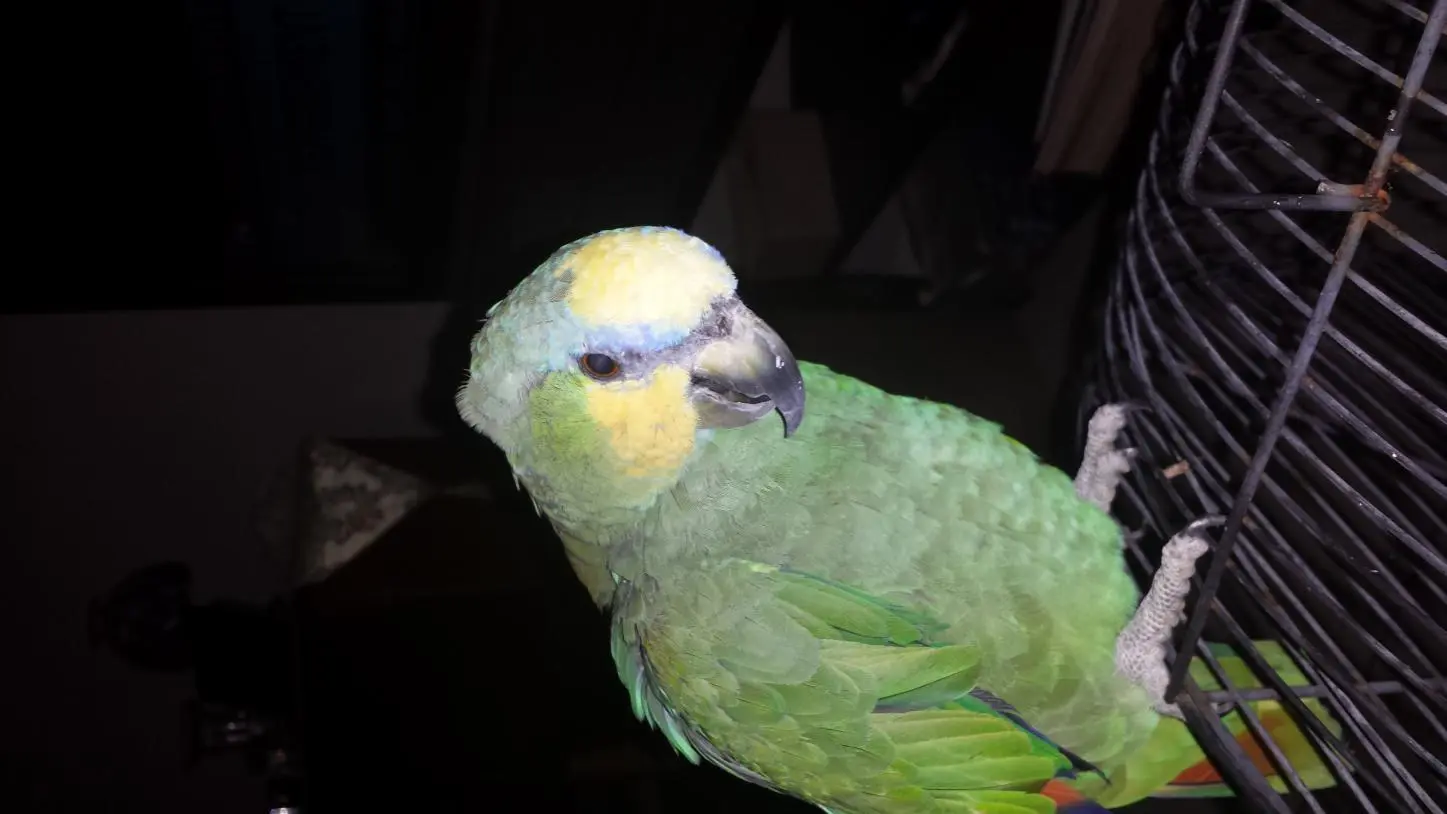20160314_202526.webp