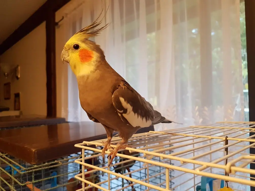 20180720_201959.webp