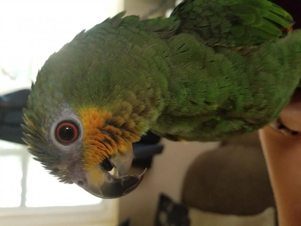 20180929_102545.webp