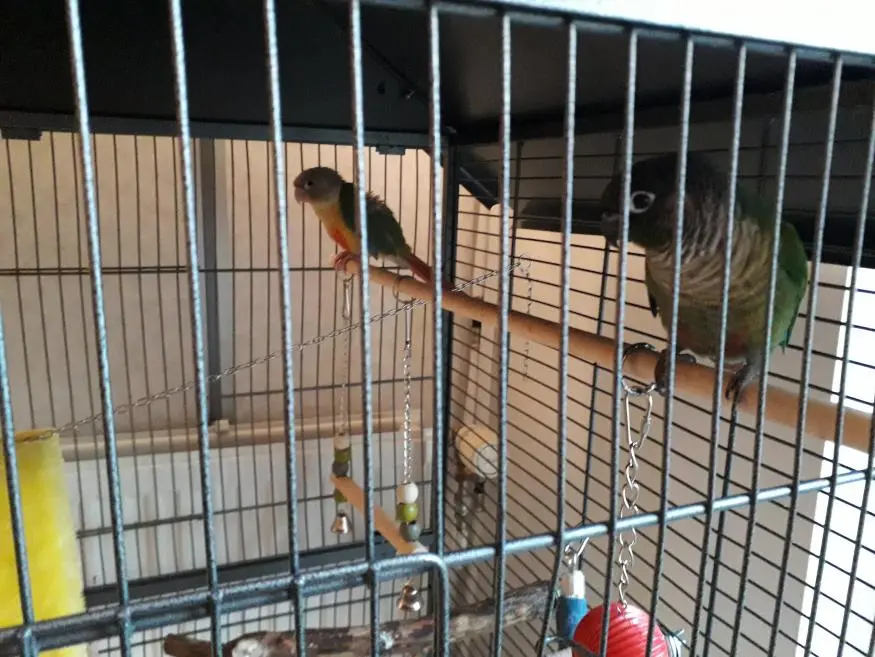 20190224_180010.webp