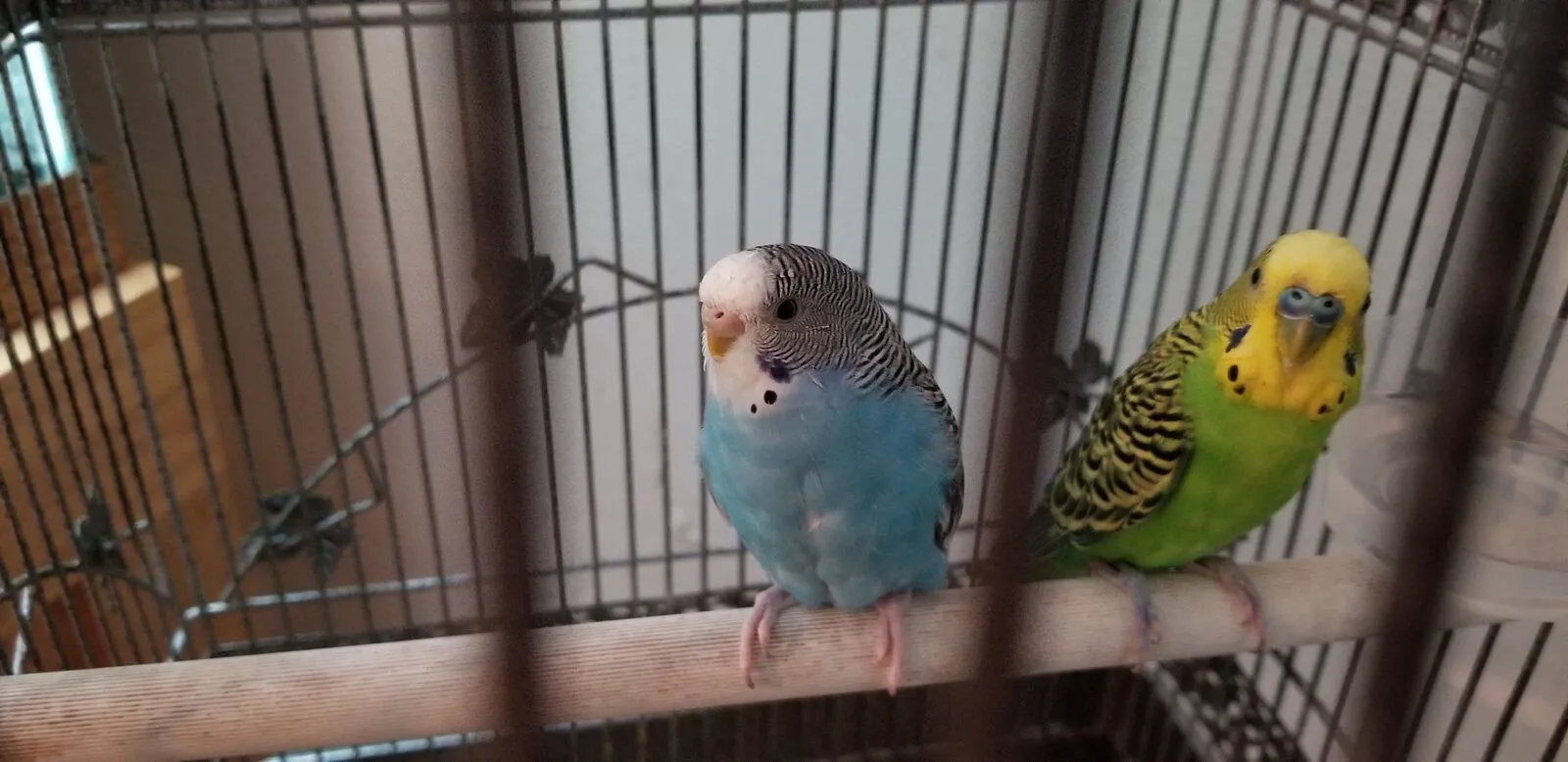 20190706_144358.webp