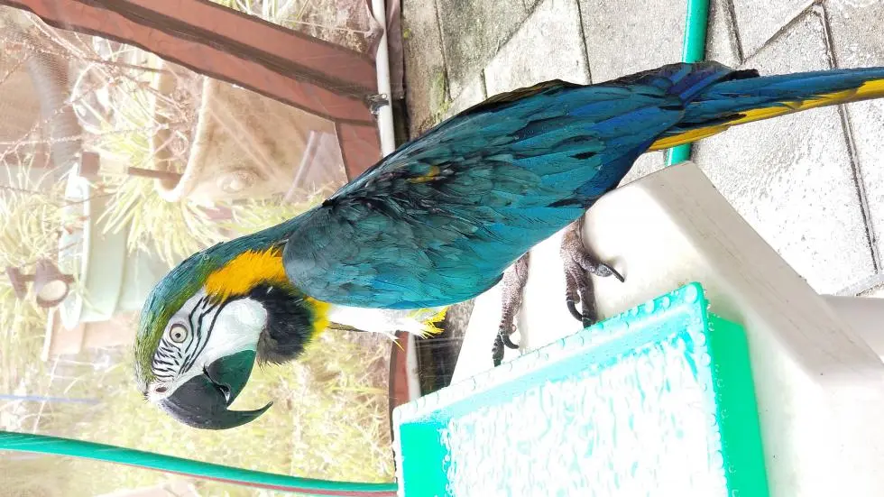 20190713_113607.webp