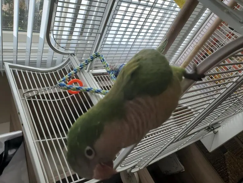 20191005_134039.webp