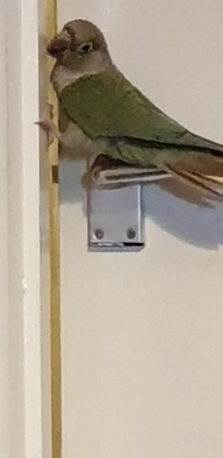 20191012_193138.jpg