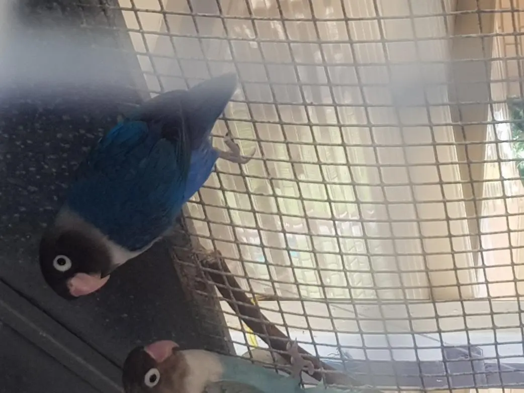 20191212_165203.webp