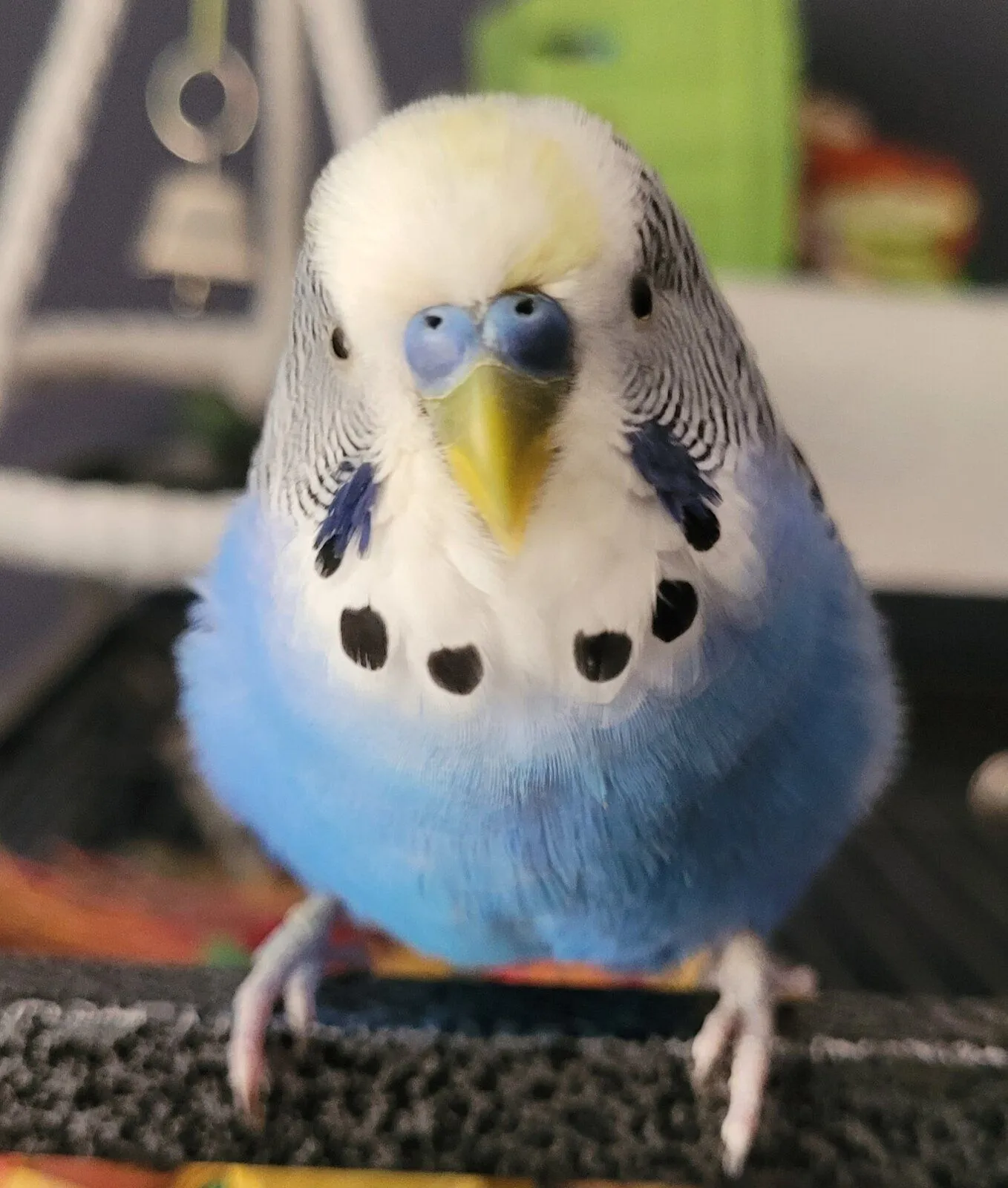 20230730_135205.webp