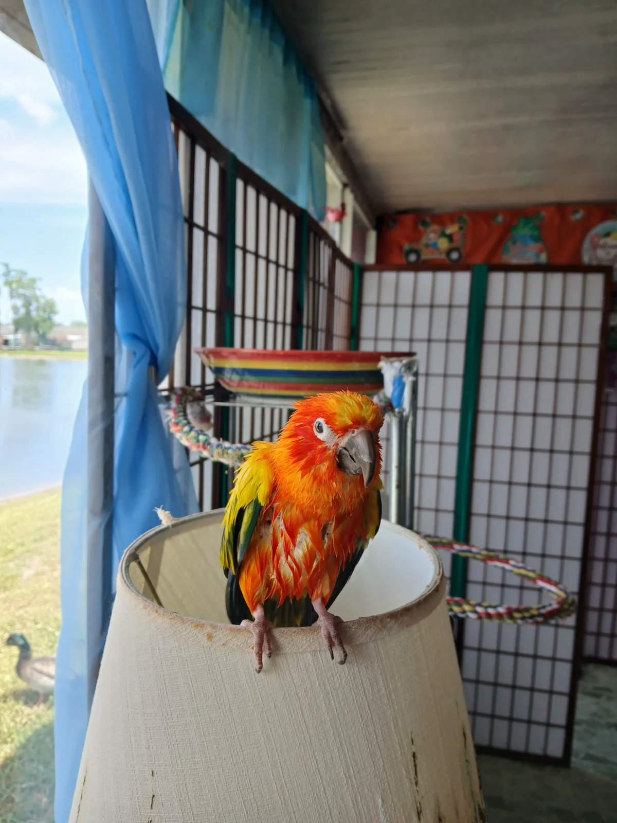 20250503_124957.webp
