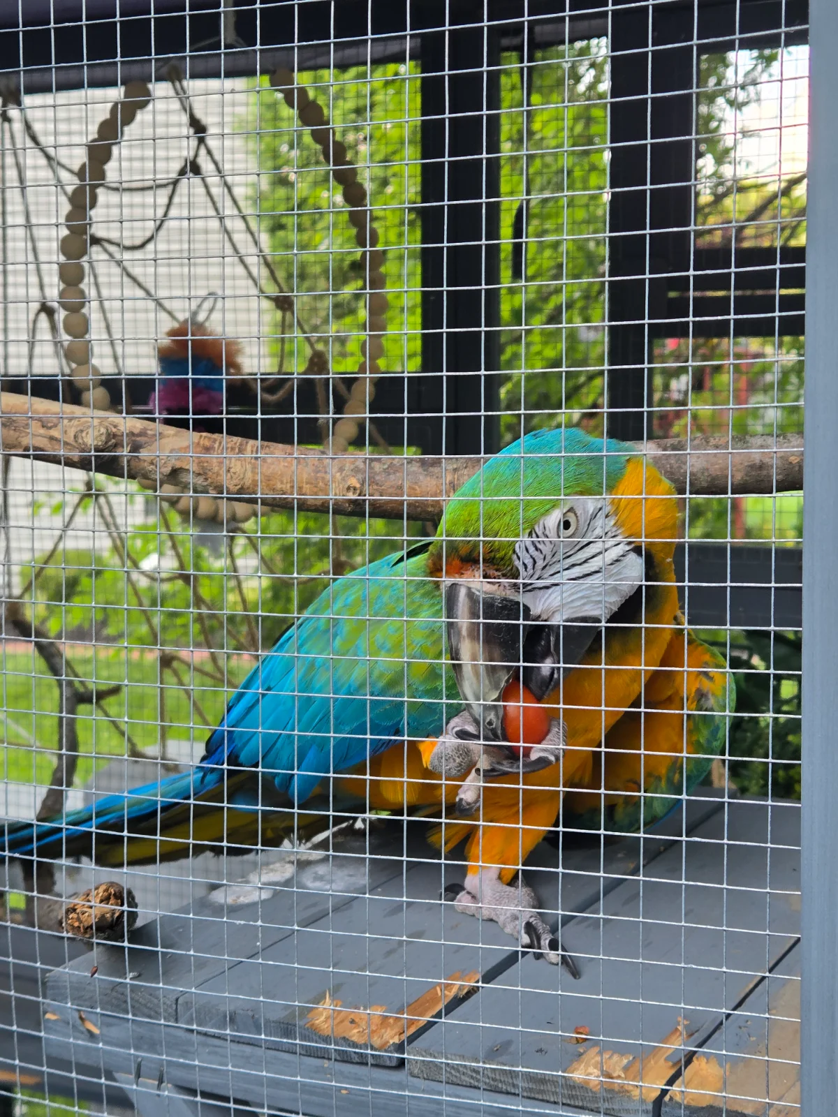 20250621_185716.webp