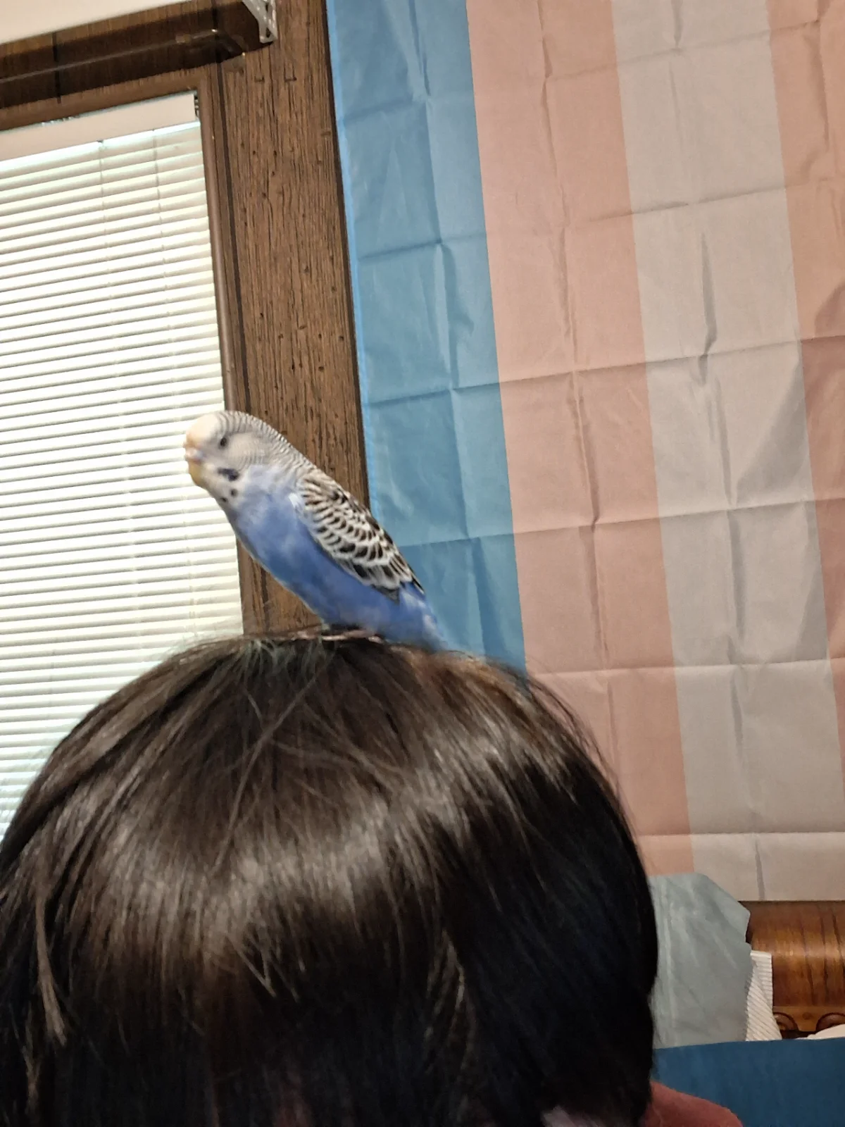 20250627_133310.webp