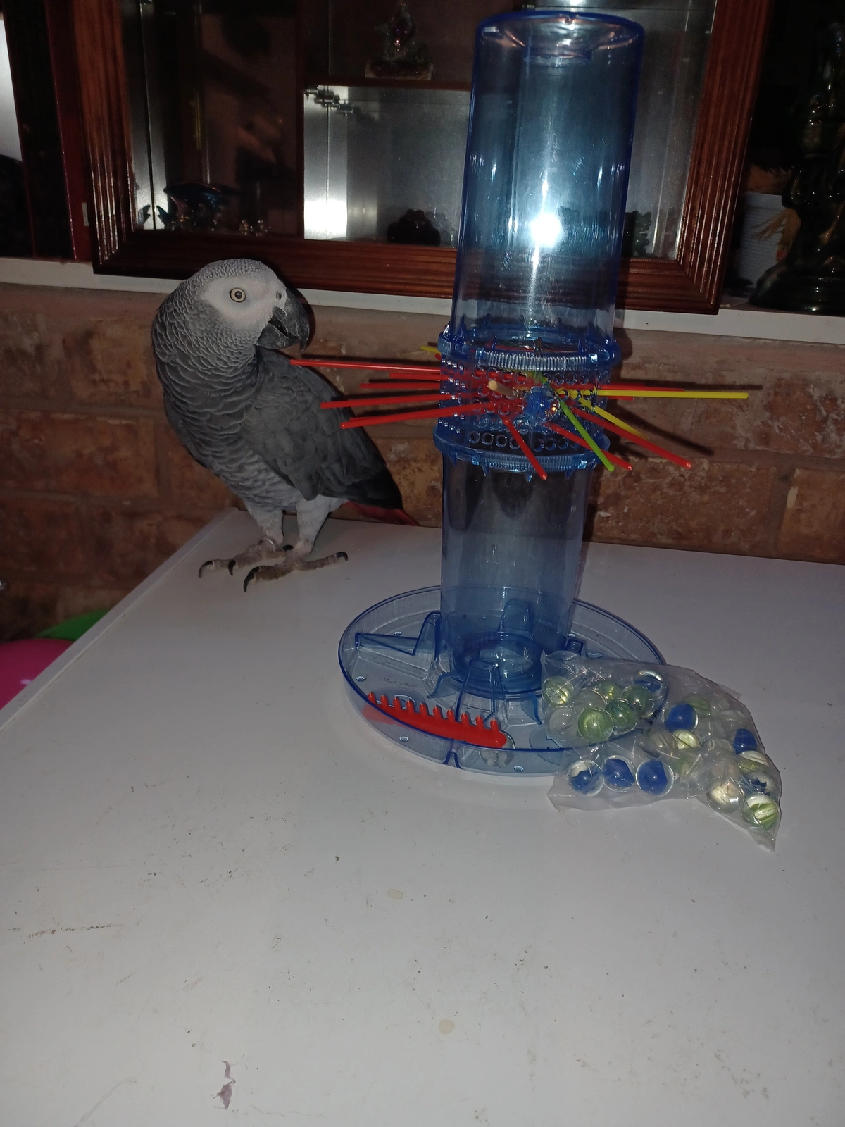 20250824_090506.webp