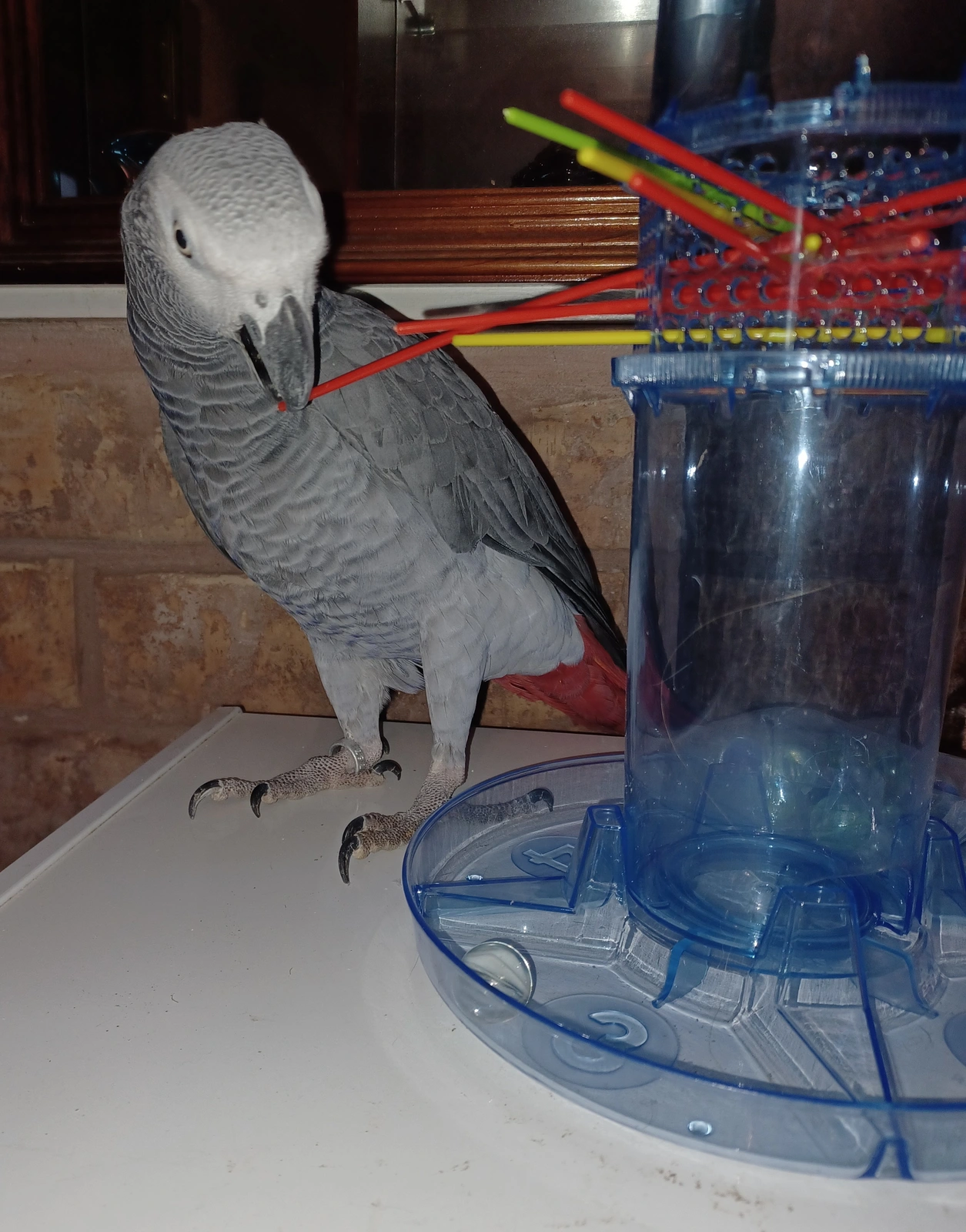 20250824_091443.webp