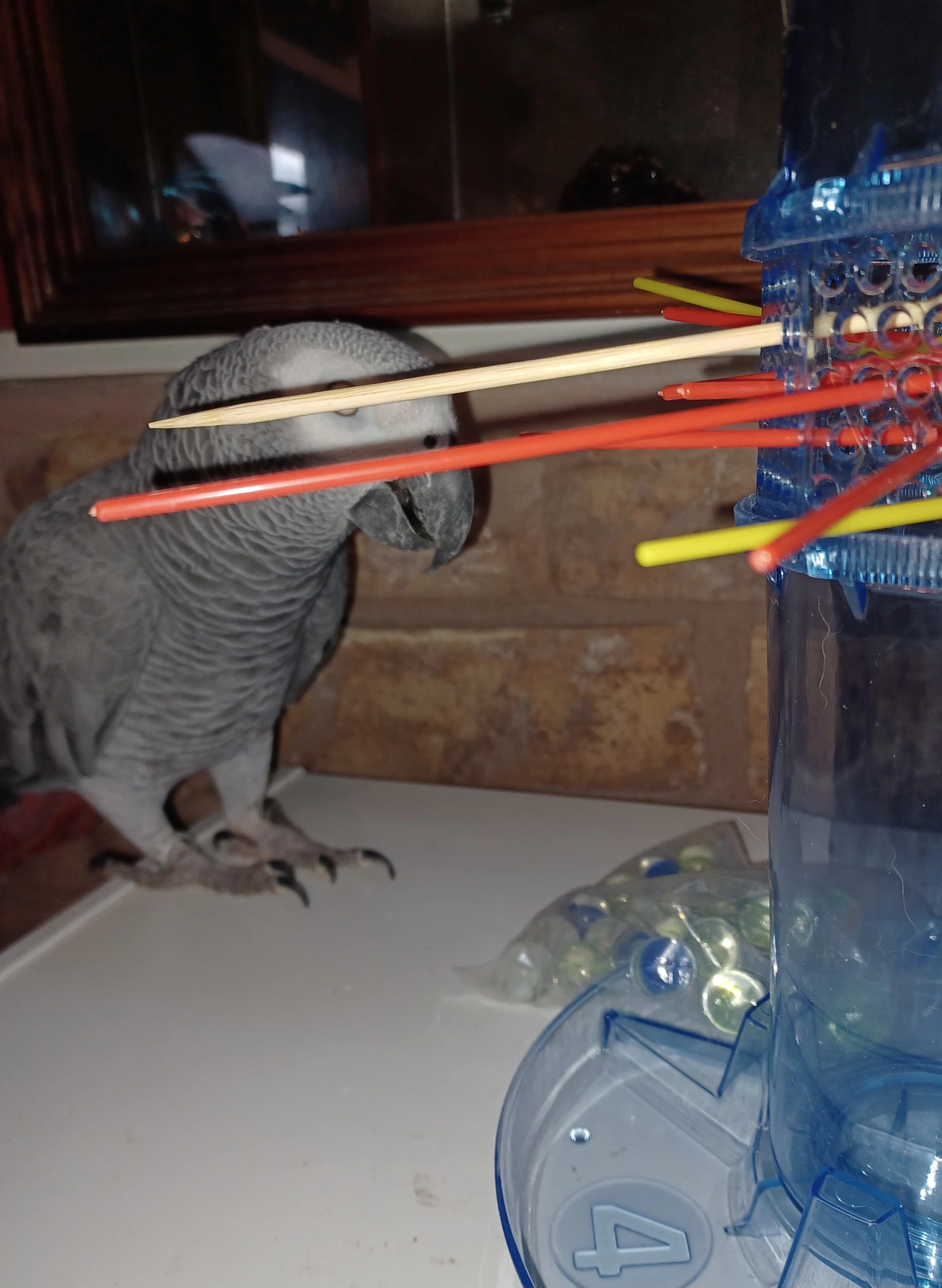 20250824_092013.webp