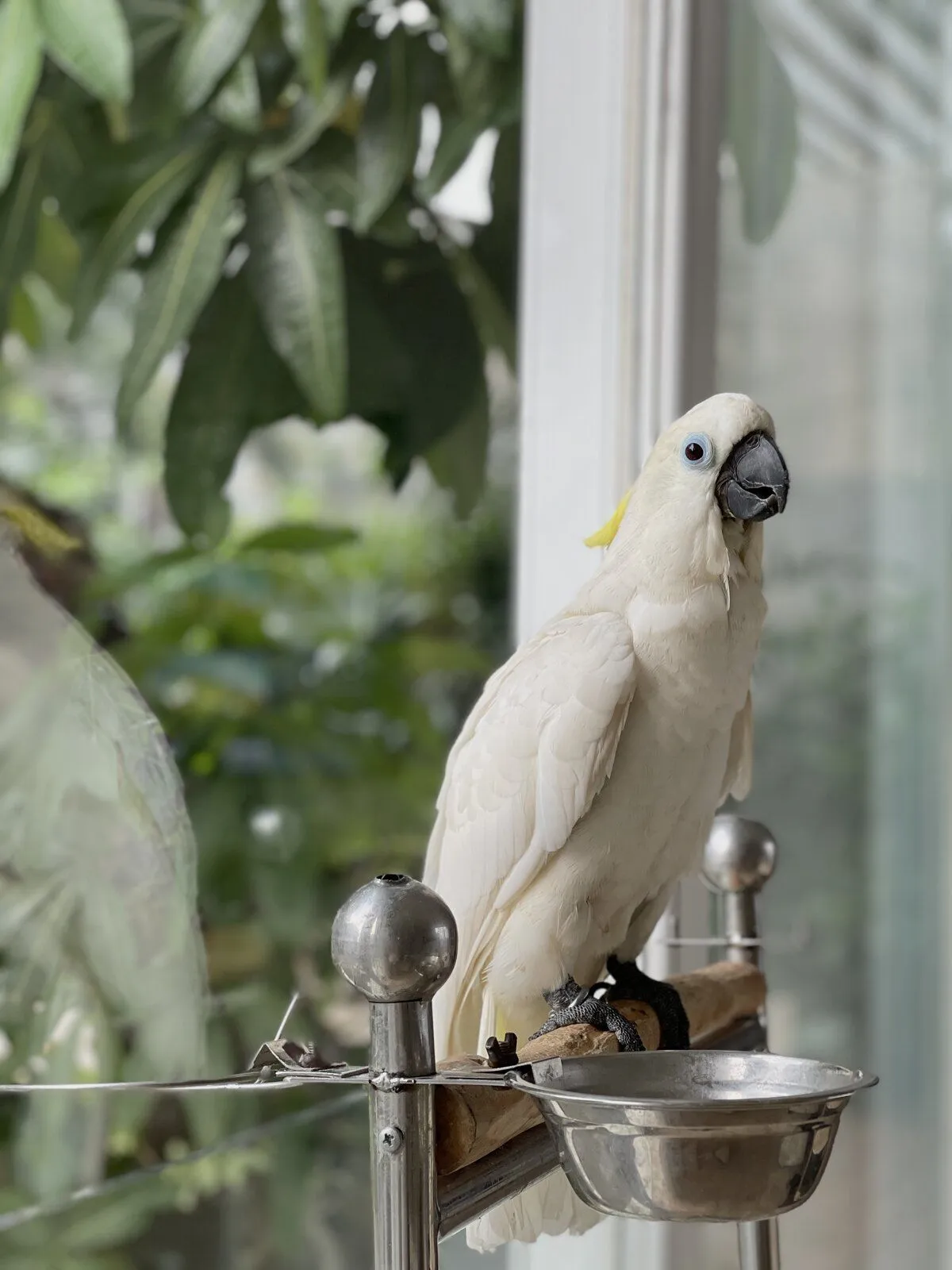 A smile for the camera