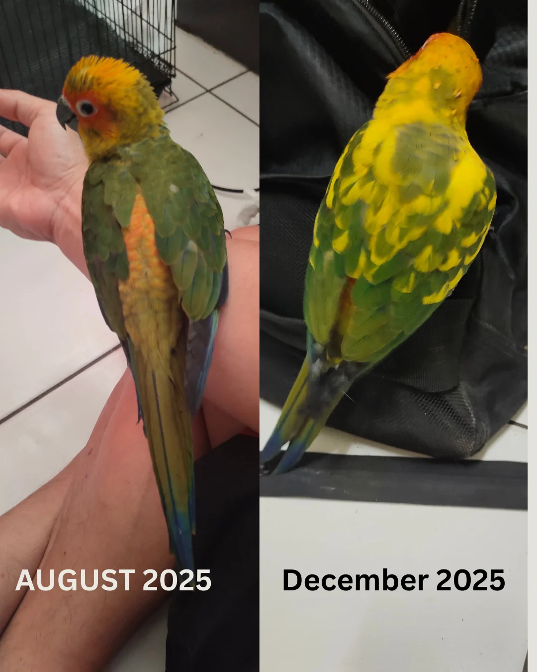 Aesthetic Fashion Photography Brand Photo Collage Instagram Post_20251231_085931_0000.webp