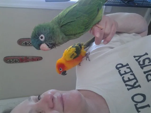 Athena N Zeus Hanging Out With Me