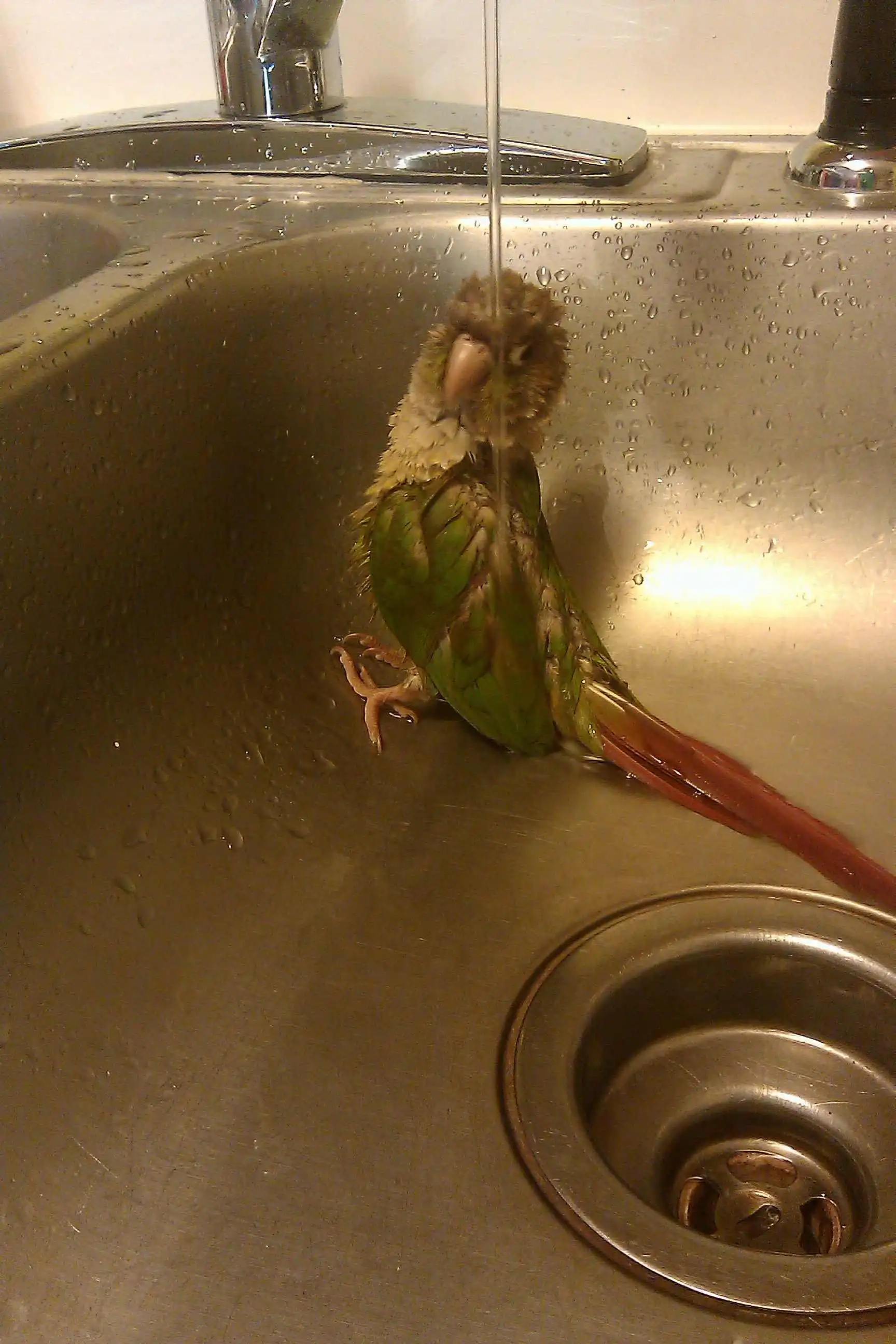 Bath Time!