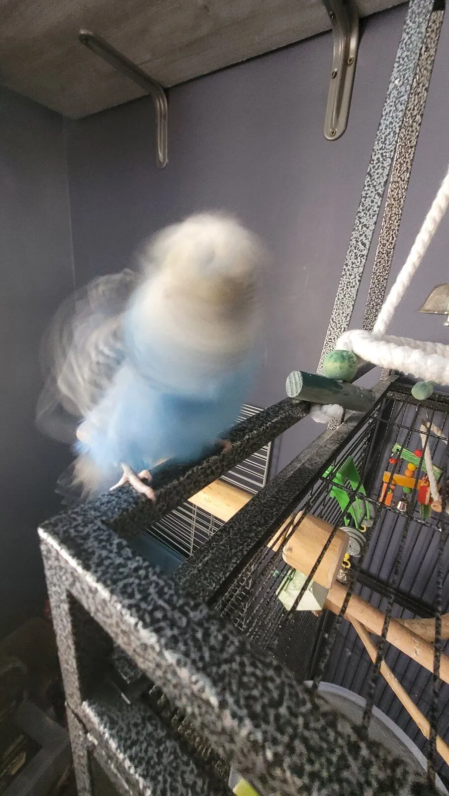 Between Worlds Bubbles