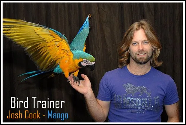 Bird Trainer