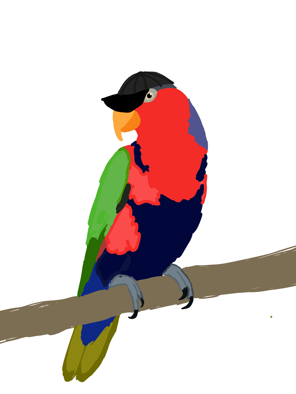 Black “capped” lory