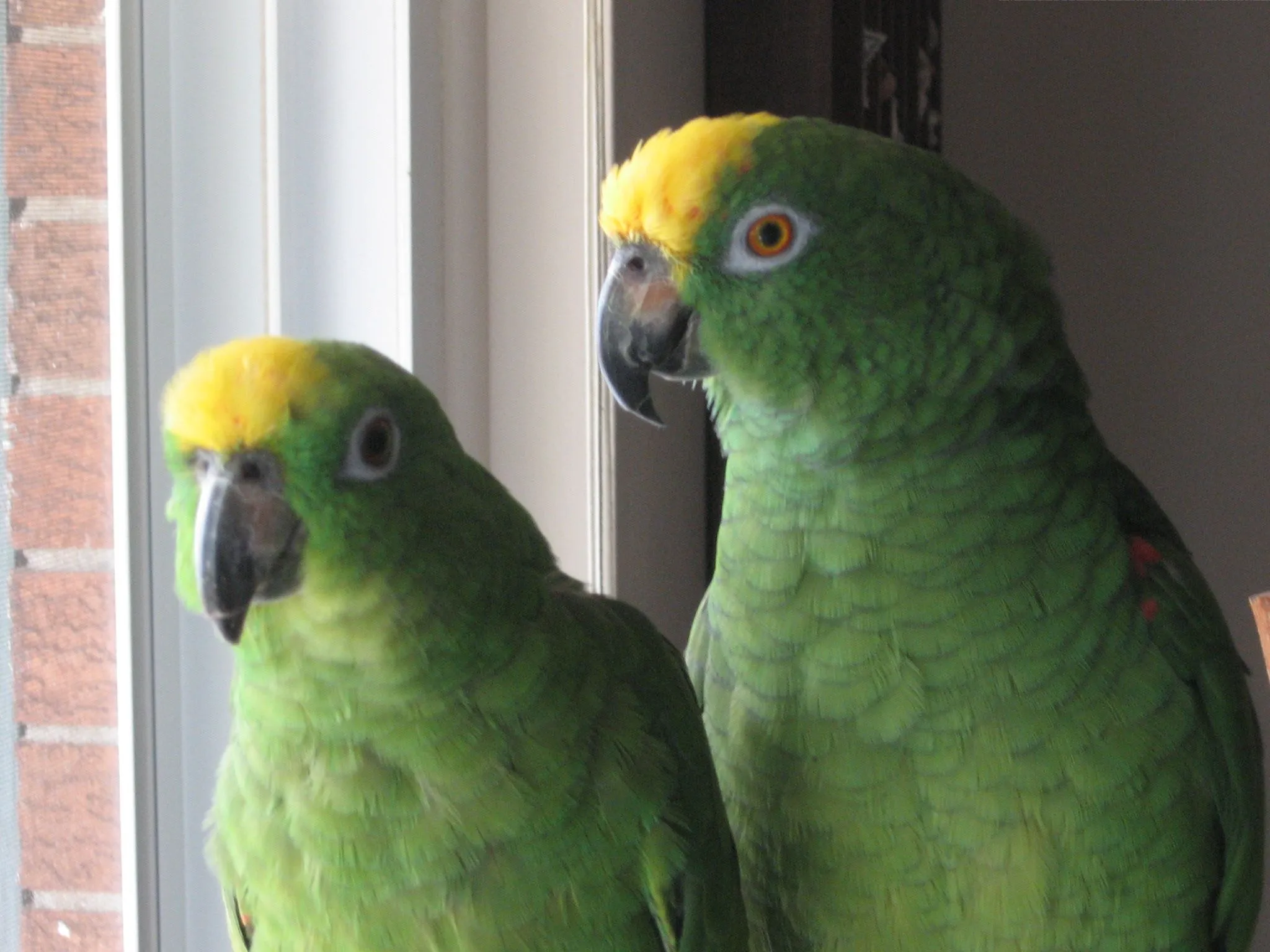 Boss &amp; Babe F/k/a Pua &amp; Alita