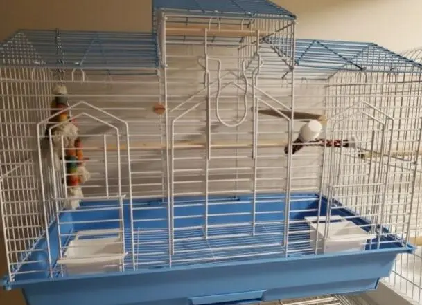 Cage.webp