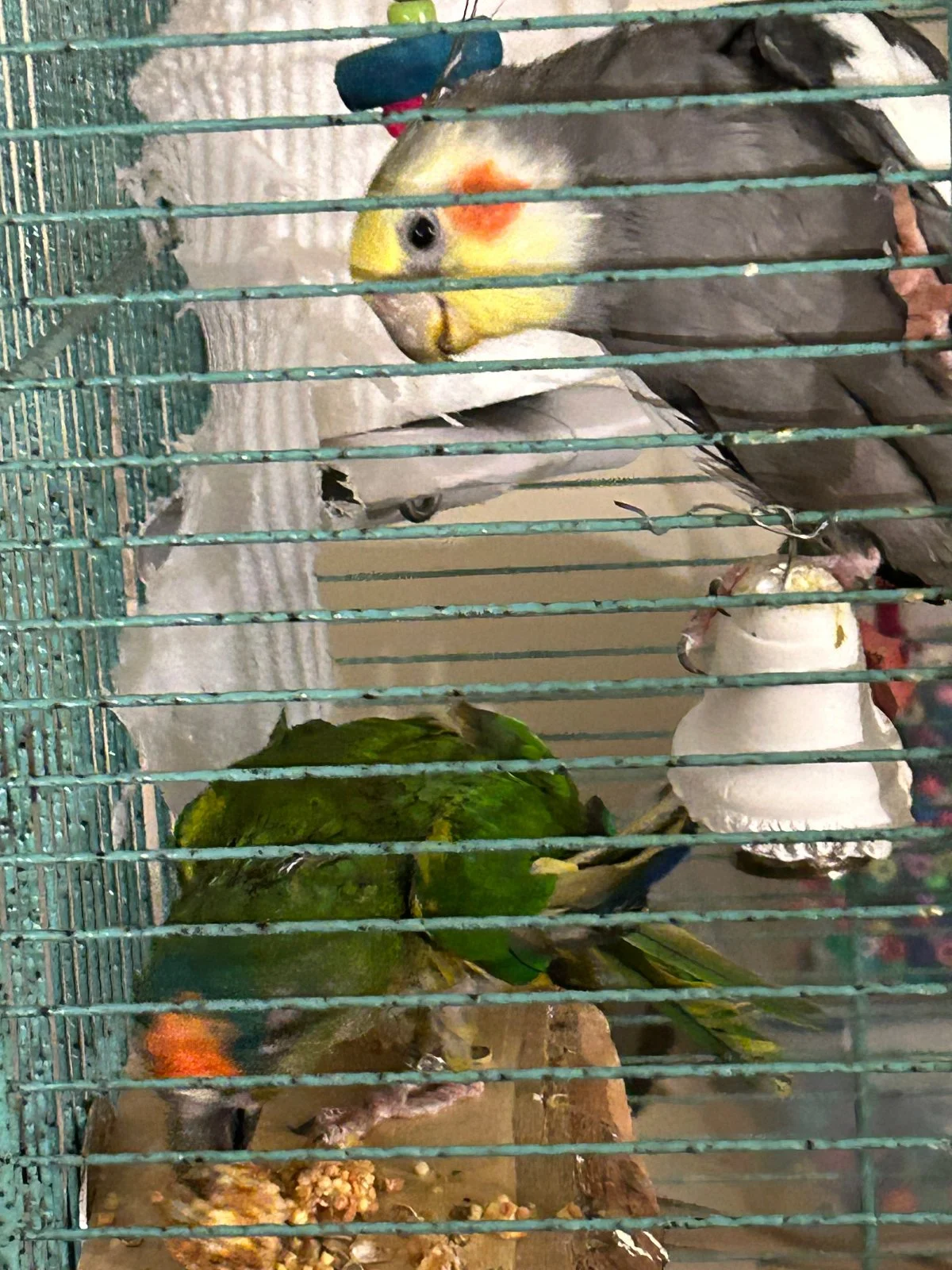 Charlie and Redshift.webp