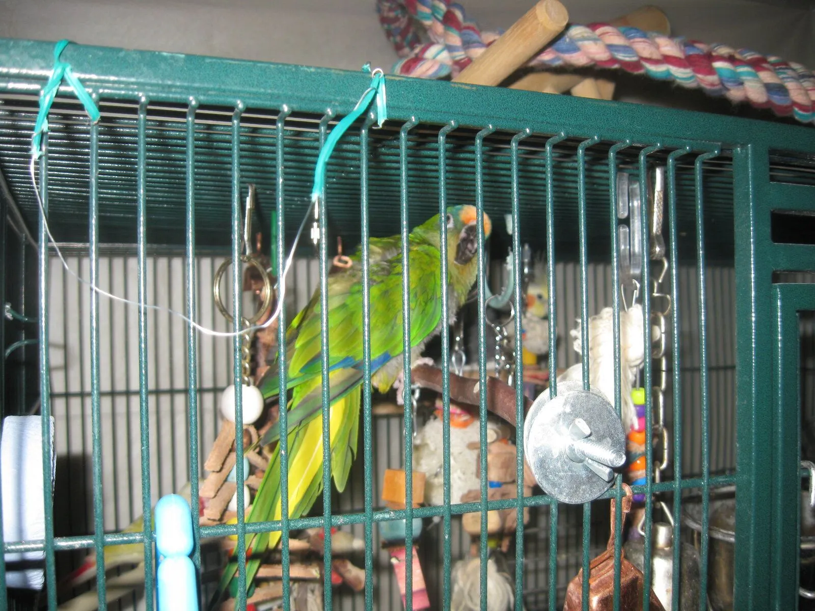 Charlie oct 16 2023.JPG