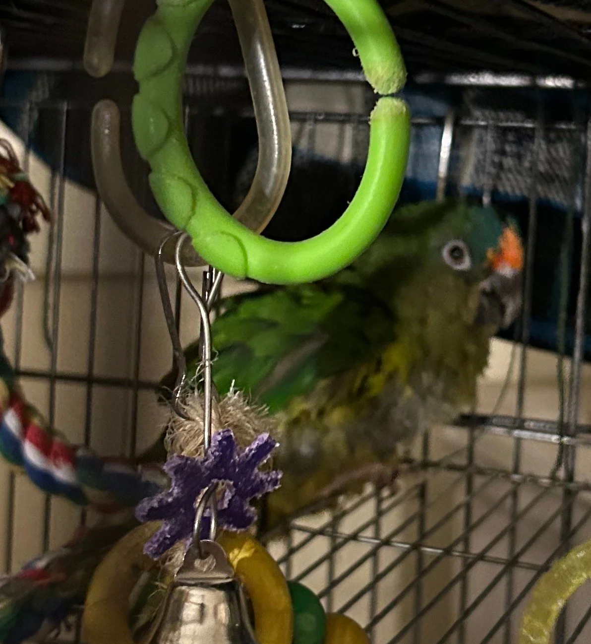 Charlie_nov 8 2025.webp