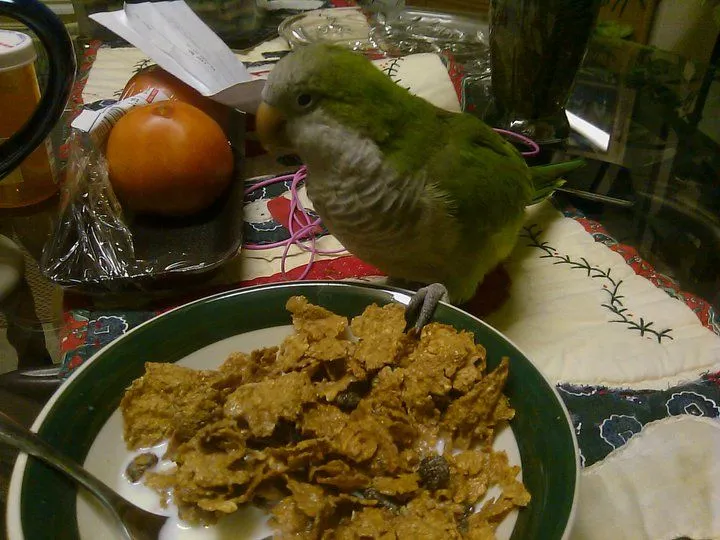 Cheech Eating Cereal