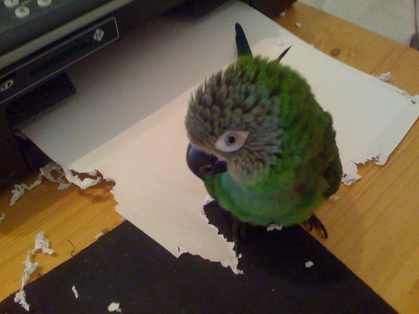 Doing Some Paper Work