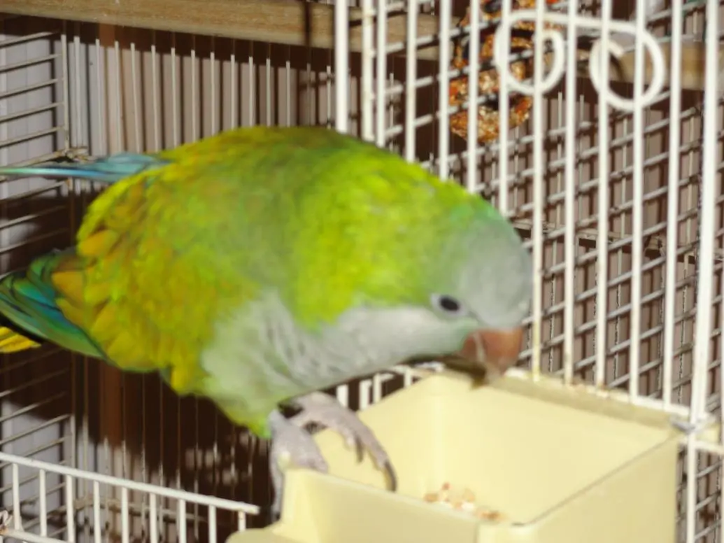 DSC02076.webp