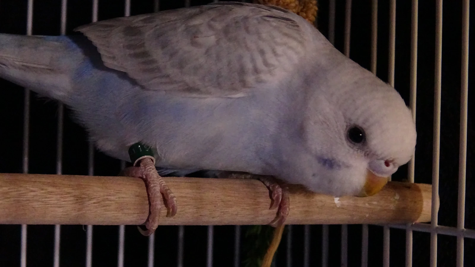 DSC05199.webp