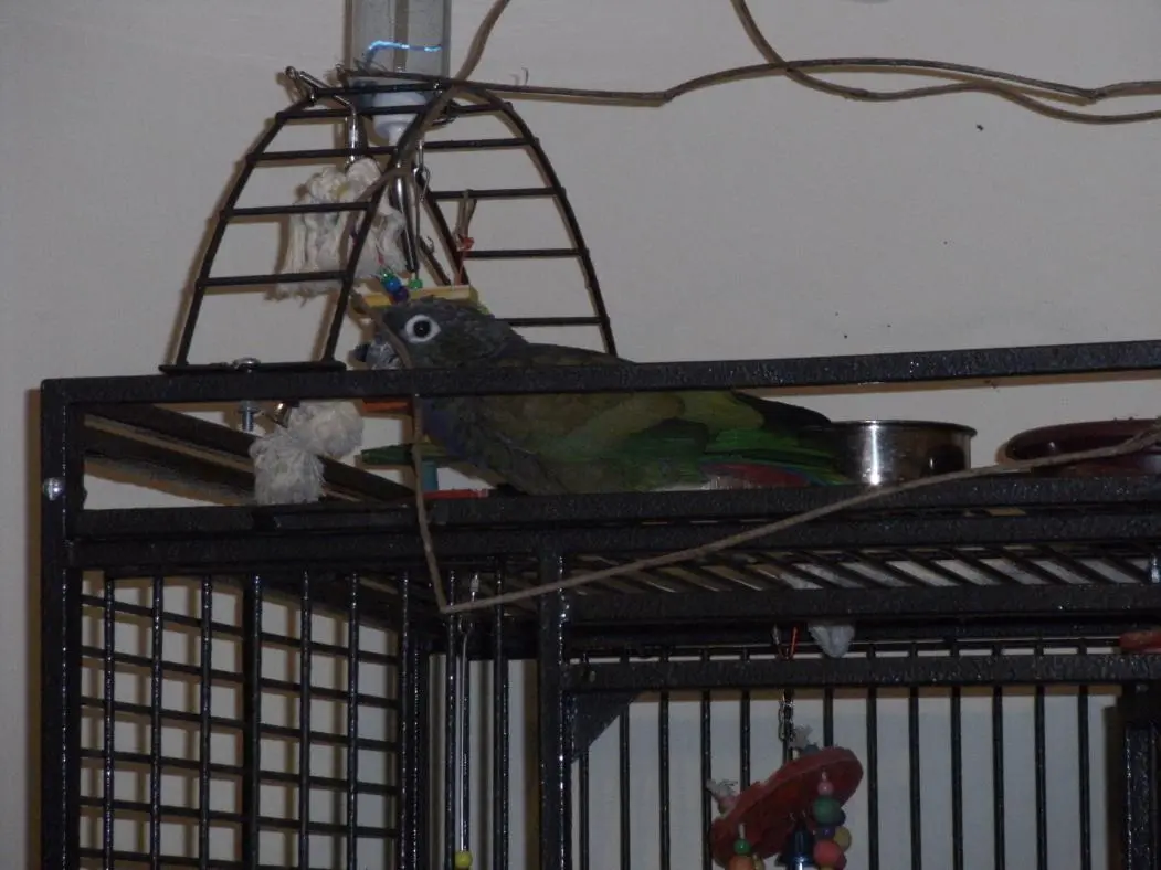 DSCF2214.webp